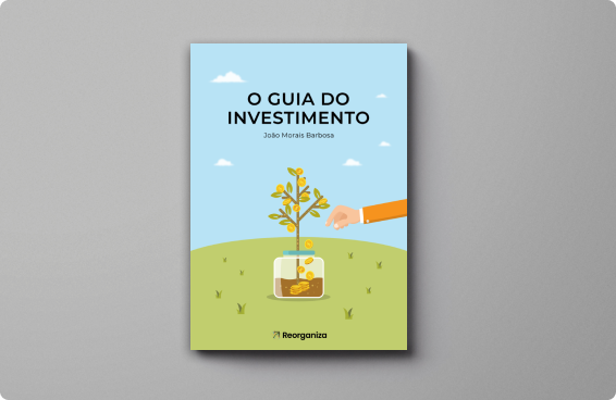 o-guia-do-investimento